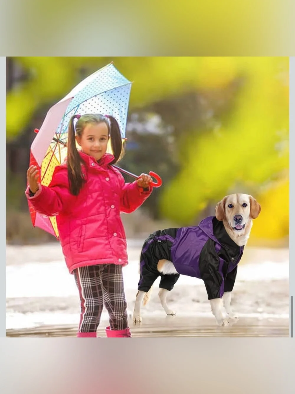 N/A dog raincoat